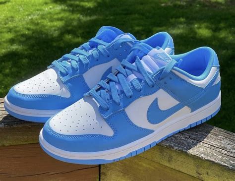 Blauwe Nike Dunk Low schoenen online kopen 